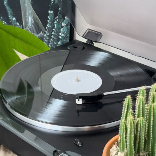 はじめまして、古橋です！