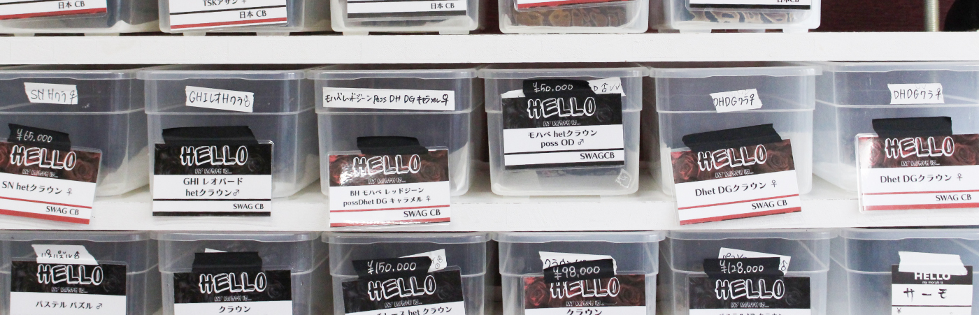 ボールパイソン専門店SWAG Ballerのスタイリッシュな店舗外観イメージ