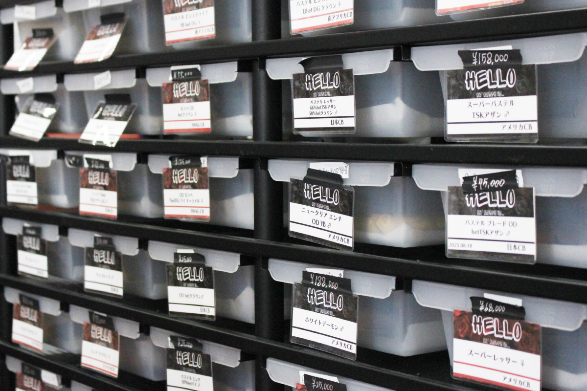 清潔感があり初心者でも入りやすいSWAG Ballerの店舗内観