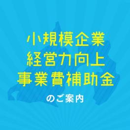 中小企業等収益力向上事業費補助金のご案内2025